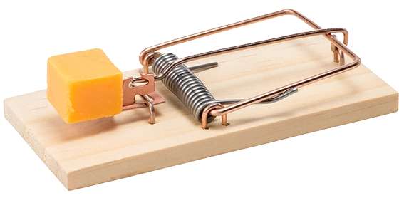 Mausefalle mit Käse